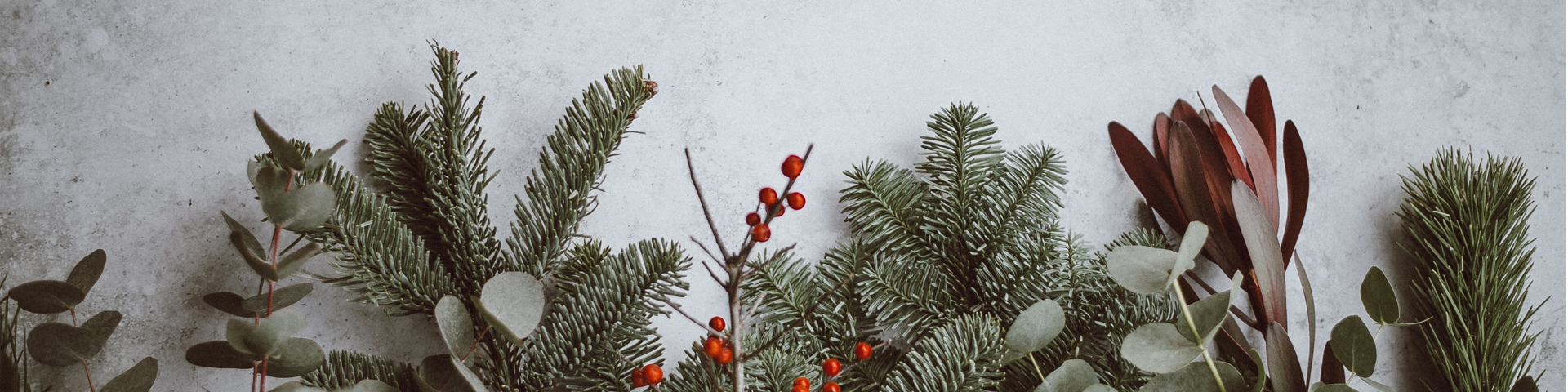 frohe-weihnachten